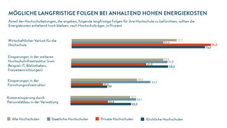 Mögliche langfristige Folgen bei anhaltend hohen Energiekosten (Grafik)